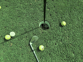 Low-maintenance golf turf 